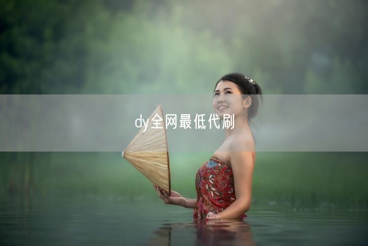 dy全网最低代刷