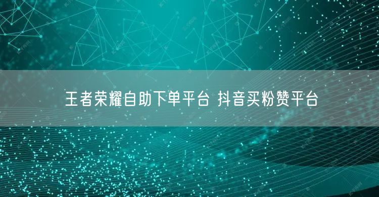 王者荣耀自助下单平台 抖音买粉赞平台