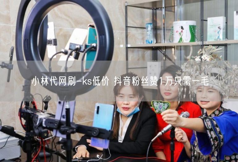 小林代网刷-ks低价 抖音粉丝赞1万只需一毛