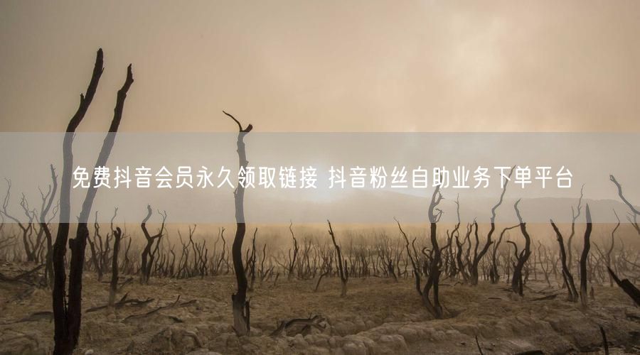 免费抖音会员永久领取链接 抖音粉丝自助业务下单平台