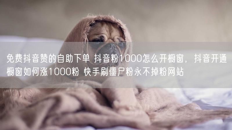 免费抖音赞的自助下单 抖音粉1000怎么开橱窗，抖音开通橱窗如何涨1000粉 快手刷僵尸粉永不掉粉网站