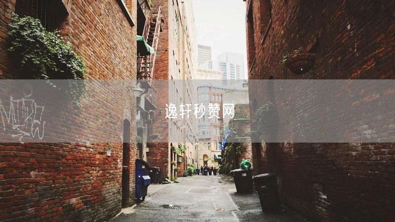 逸轩秒赞网