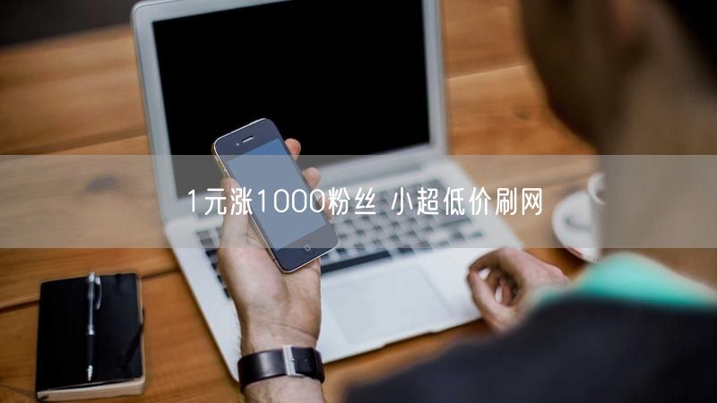 1元涨1000粉丝 小超低价刷网