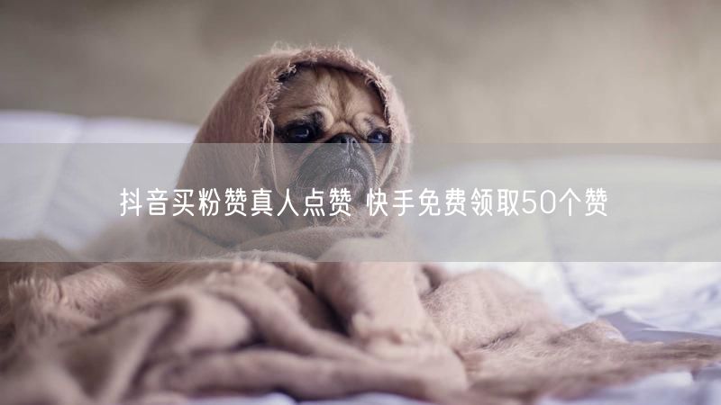 抖音买粉赞真人点赞 快手免费领取50个赞