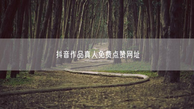 抖音作品真人免费点赞网址