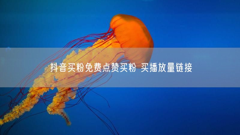 抖音买粉免费点赞买粉 买播放量链接