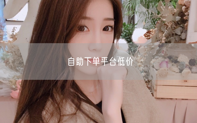 自助下单平台低价