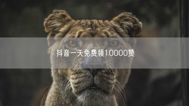 抖音一天免费领10000赞