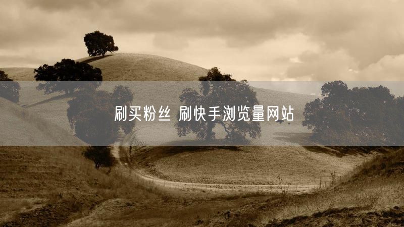 刷买粉丝 刷快手浏览量网站