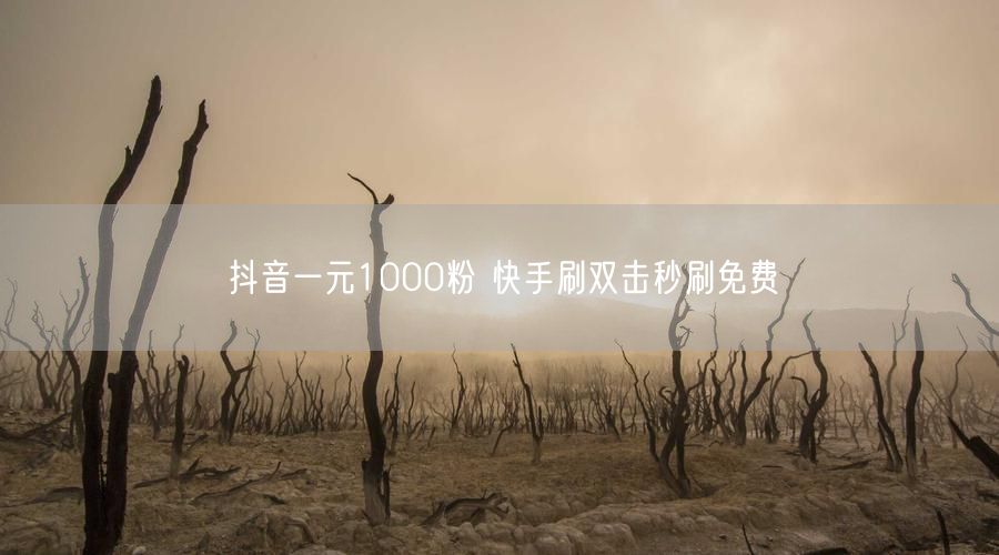 抖音一元1000粉 快手刷双击秒刷免费