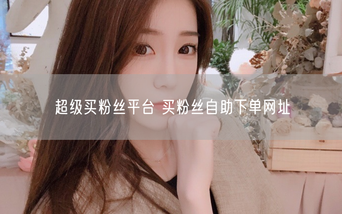 超级买粉丝平台 买粉丝自助下单网址