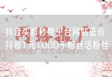 抖音买粉秒赞平台网站低价 抖音1元1000千粉丝活粉丝