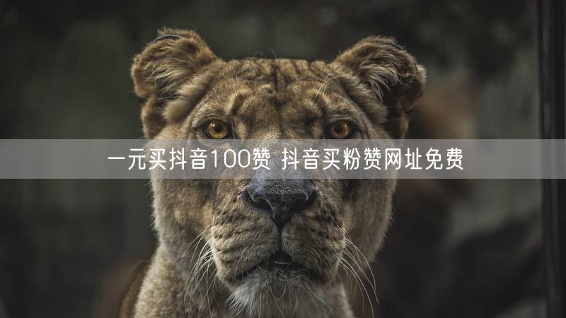 一元买抖音100赞 抖音买粉赞网址免费