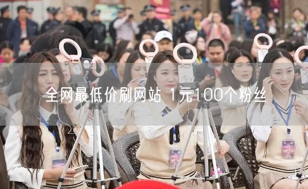 全网最低价刷网站 1元100个粉丝