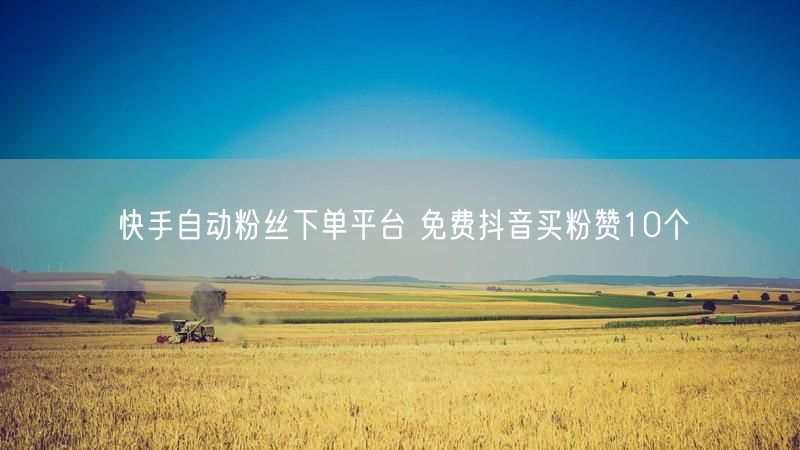 快手自动粉丝下单平台 免费抖音买粉赞10个