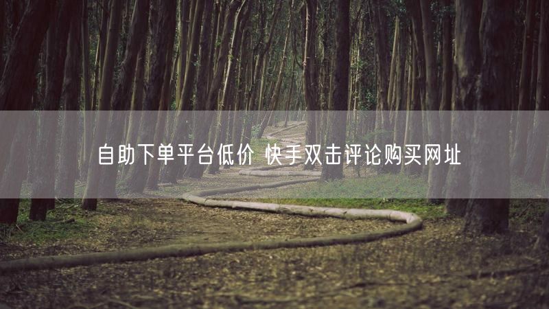 自助下单平台低价 快手双击评论购买网址