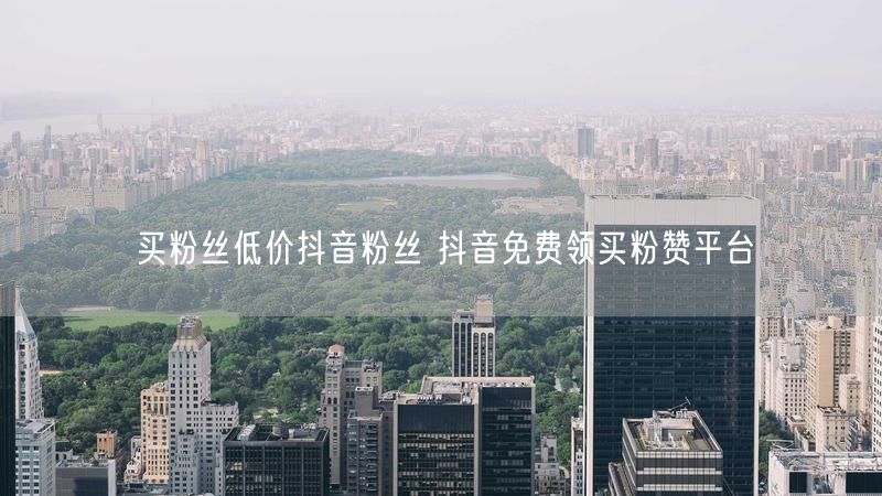 买粉丝低价抖音粉丝 抖音免费领买粉赞平台