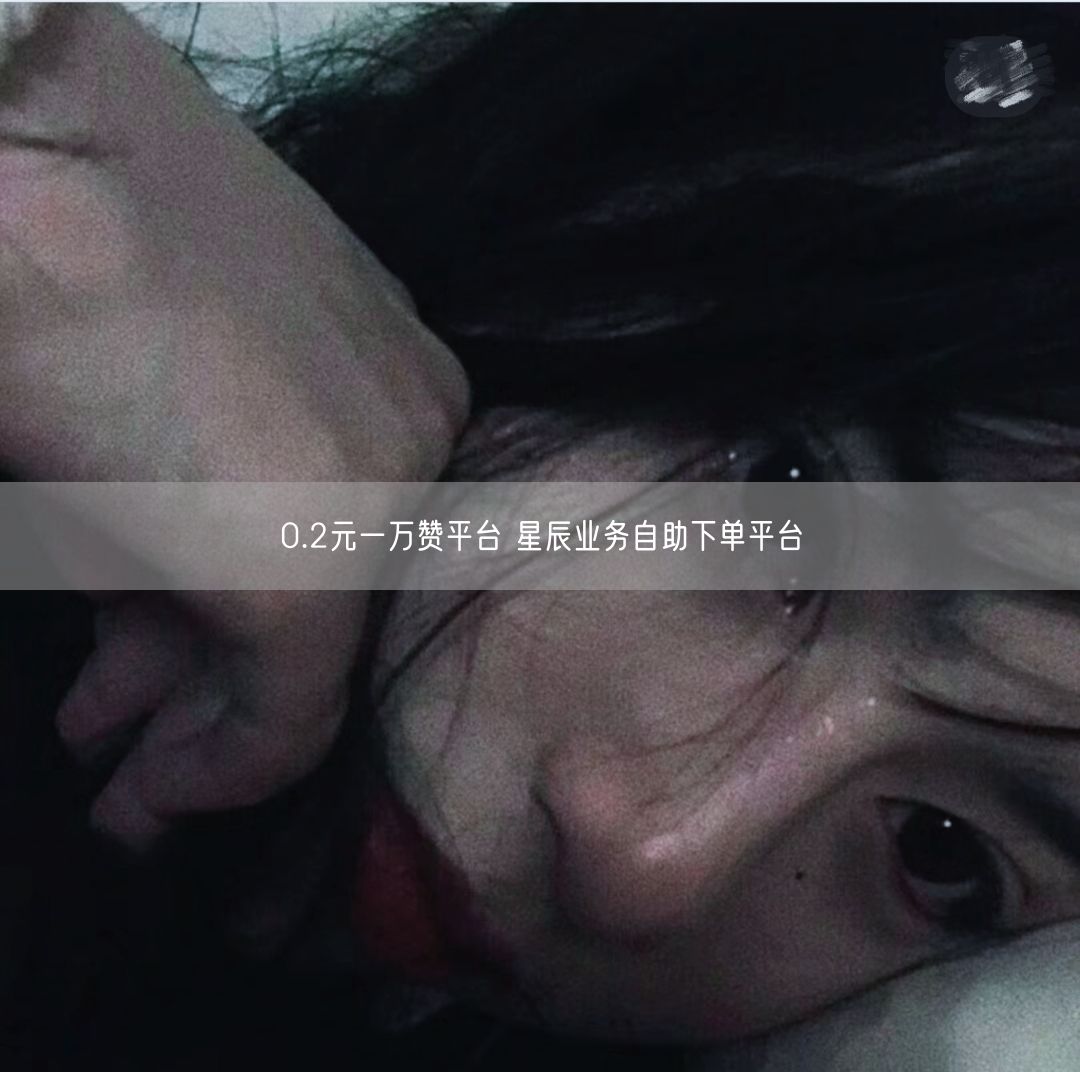 0.2元一万赞平台 星辰业务自助下单平台