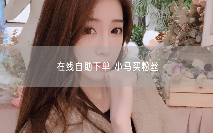 在线自助下单 小马买粉丝