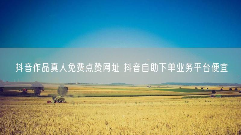 抖音作品真人免费点赞网址 抖音自助下单业务平台便宜