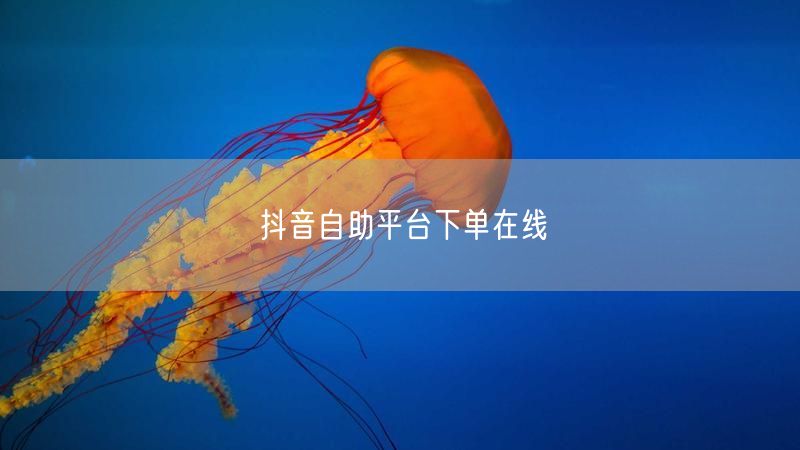 抖音自助平台下单在线