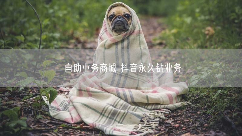 自助业务商城 抖音永久钻业务