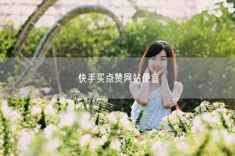 快手买点赞网站便宜