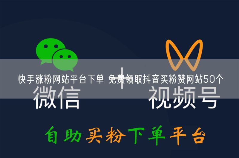 快手涨粉网站平台下单 免费领取抖音买粉赞网站50个