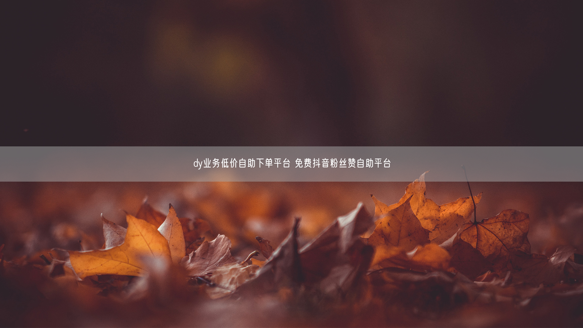 dy业务低价自助下单平台 免费抖音粉丝赞自助平台