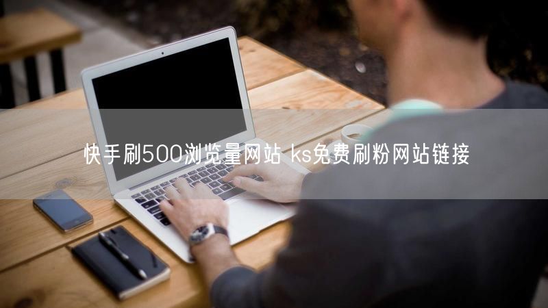 快手刷500浏览量网站 ks免费刷粉网站链接