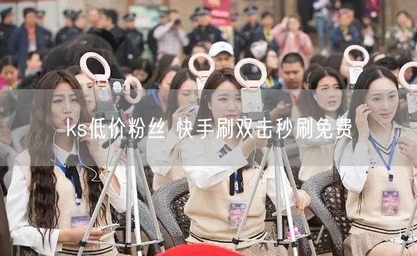 ks低价粉丝 快手刷双击秒刷免费