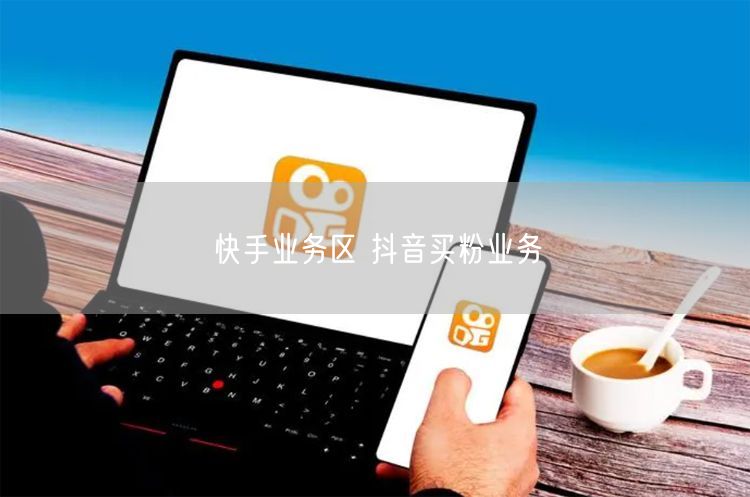 快手业务区 抖音买粉业务