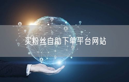 买粉丝自助下单平台网站