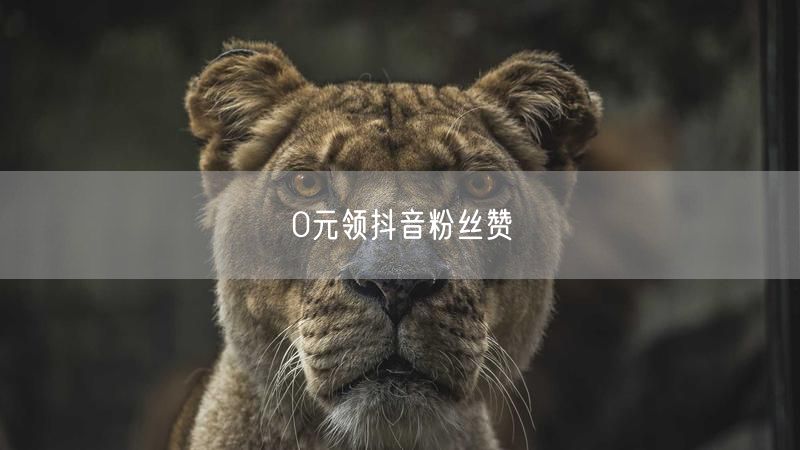 0元领抖音粉丝赞