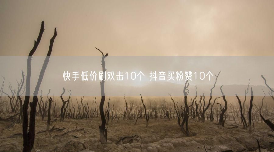 快手低价刷双击10个 抖音买粉赞10个