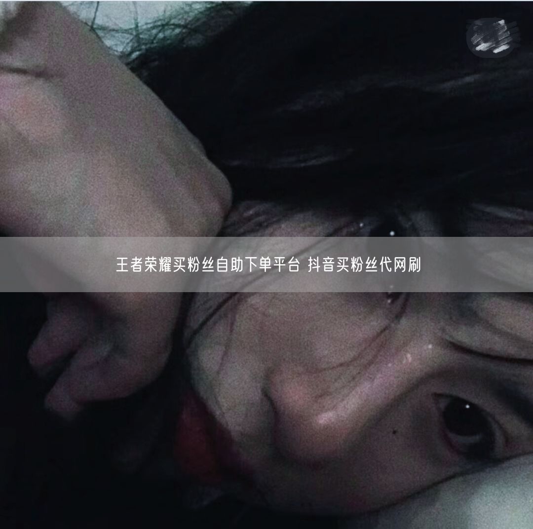 王者荣耀买粉丝自助下单平台 抖音买粉丝代网刷