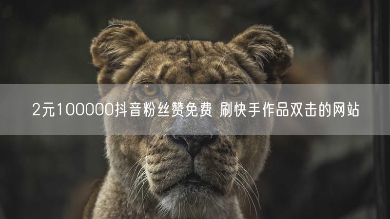 2元100000抖音粉丝赞免费 刷快手作品双击的网站