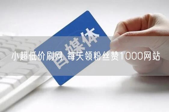 小超低价刷网 每天领粉丝赞1000网站