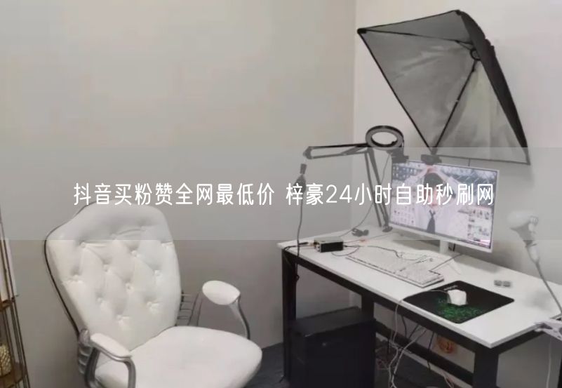 抖音买粉赞全网最低价 梓豪24小时自助秒刷网