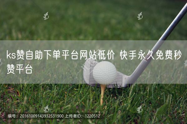 ks赞自助下单平台网站低价 快手永久免费秒赞平台