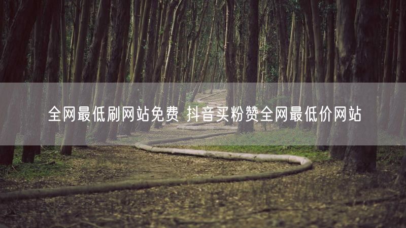 全网最低刷网站免费 抖音买粉赞全网最低价网站