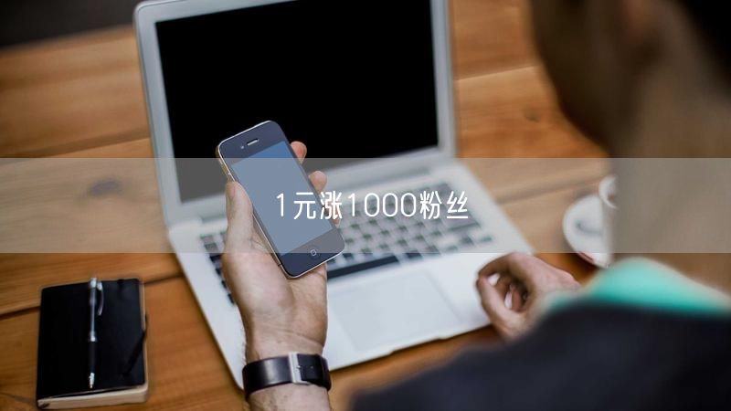 1元涨1000粉丝