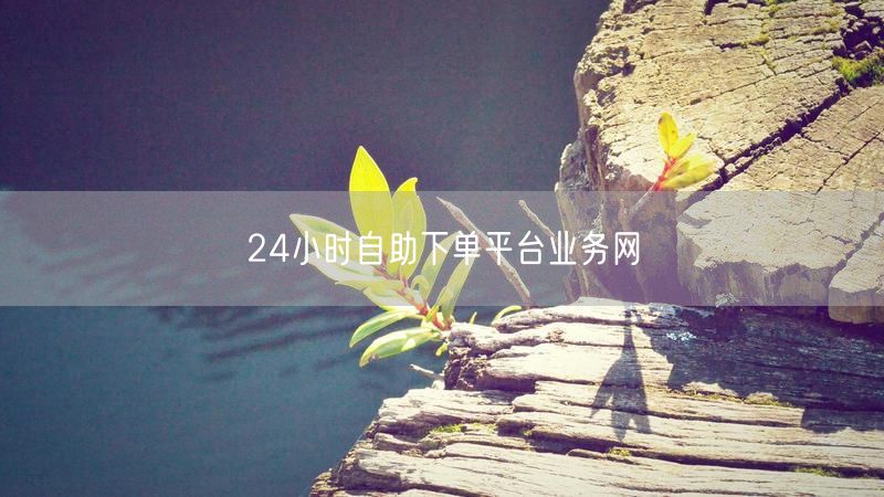 24小时自助下单平台业务网