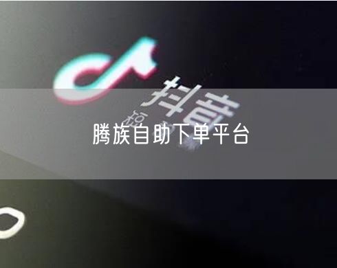 腾族自助下单平台