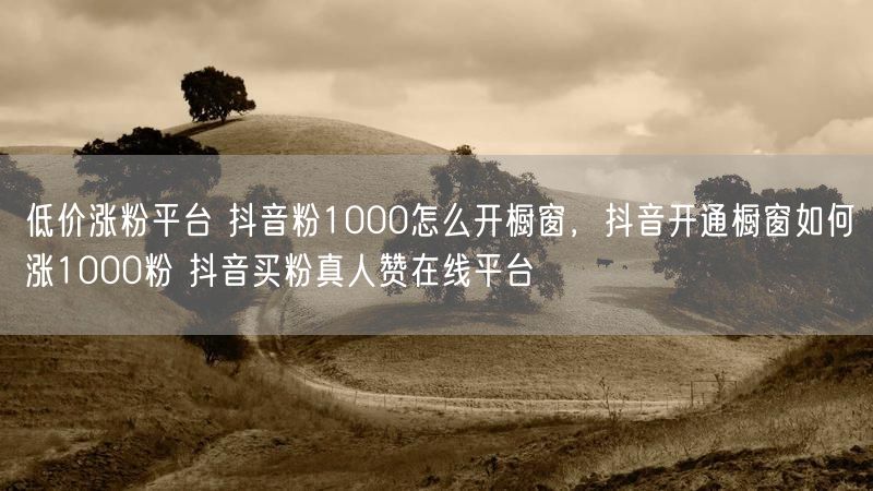 低价涨粉平台 抖音粉1000怎么开橱窗，抖音开通橱窗如何涨1000粉 抖音买粉真人赞在线平台