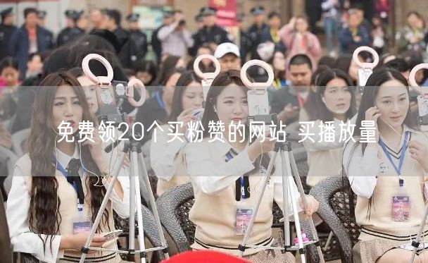 免费领20个买粉赞的网站 买播放量