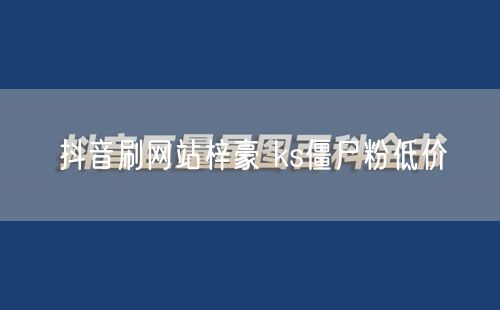 抖音刷网站梓豪 ks僵尸粉低价