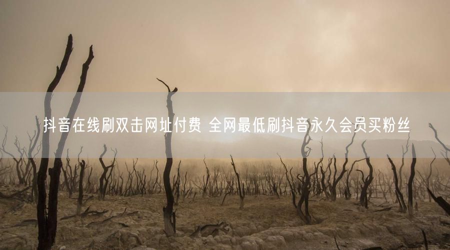 抖音在线刷双击网址付费 全网最低刷抖音永久会员买粉丝