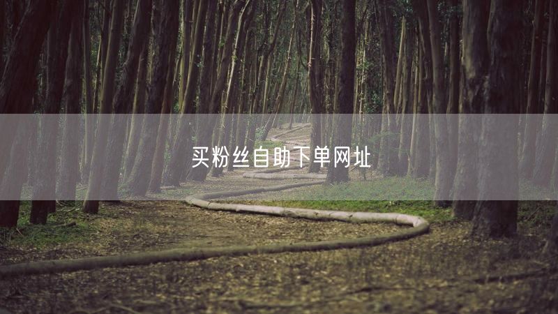 买粉丝自助下单网址