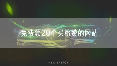 免费领20个买粉赞的网站
